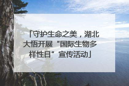 守护生命之美，湖北大悟开展“国际生物多样性日”宣传活动