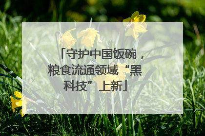 守护中国饭碗，粮食流通领域“黑科技”上新