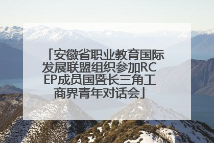 安徽省职业教育国际发展联盟组织参加RCEP成员国暨长三角工商界青年对话会