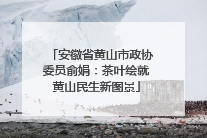 安徽省黄山市政协委员俞娟：茶叶绘就黄山民生新图景