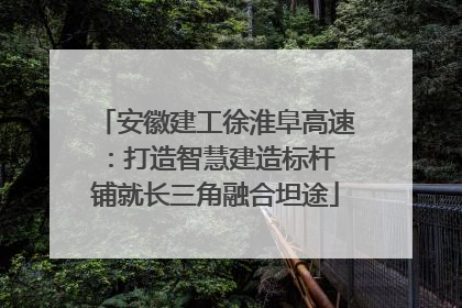 安徽建工徐淮阜高速：打造智慧建造标杆 铺就长三角融合坦途