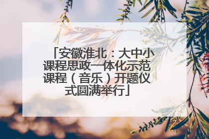 安徽淮北：大中小课程思政一体化示范课程（音乐）开题仪式圆满举行