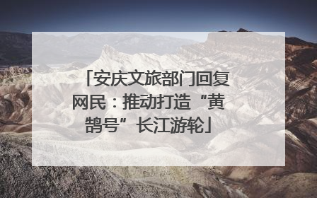 安庆文旅部门回复网民：推动打造“黄鹄号”长江游轮