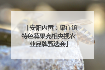 安阳内黄：梁庄镇特色蔬果亮相央视农业品牌甄选会