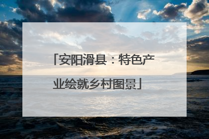 安阳滑县：特色产业绘就乡村图景
