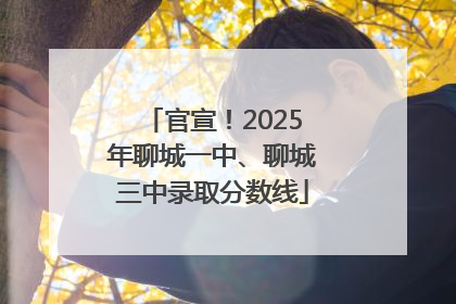 官宣！2025年聊城一中、聊城三中录取分数线