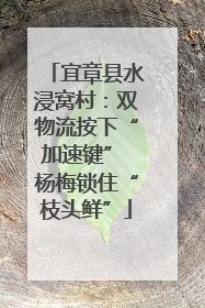 宜章县水浸窝村：双物流按下“加速键” 杨梅锁住“枝头鲜”
