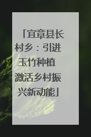 宜章县长村乡：引进玉竹种植 激活乡村振兴新动能