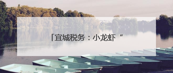 宜城税务：小龙虾“烹”出富民新图景