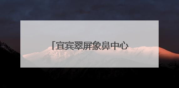 宜宾翠屏象鼻中心校：“幼芽”初探新枝，衔接共育未来