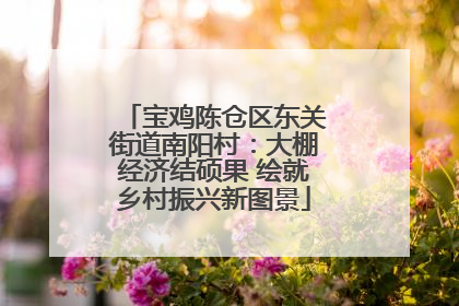 宝鸡陈仓区东关街道南阳村：大棚经济结硕果 绘就乡村振兴新图景