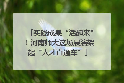 实践成果“活起来”！河南师大这场展演架起“人才直通车”