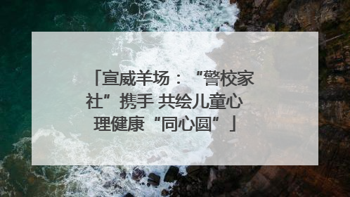 宣威羊场：“警校家社”携手 共绘儿童心理健康“同心圆”