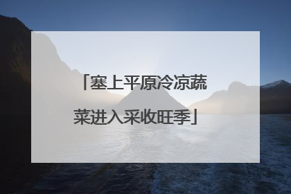 塞上平原冷凉蔬菜进入采收旺季