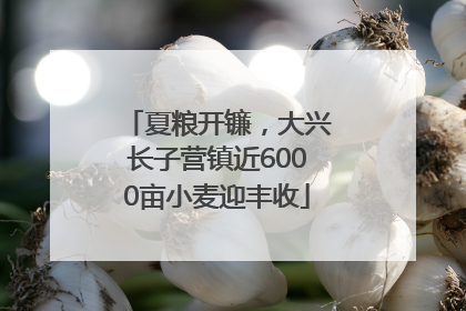夏粮开镰，大兴长子营镇近6000亩小麦迎丰收