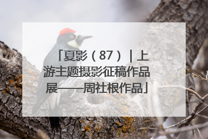 夏影（87）｜上游主题摄影征稿作品展——周社根作品