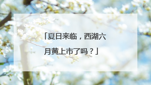 夏日来临，西湖六月黄上市了吗？