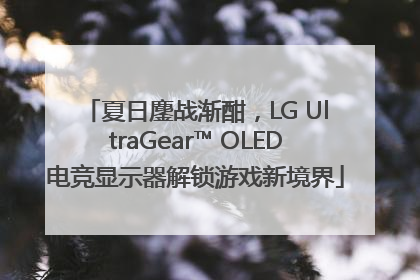 夏日鏖战渐酣，LG UltraGear™ OLED电竞显示器解锁游戏新境界