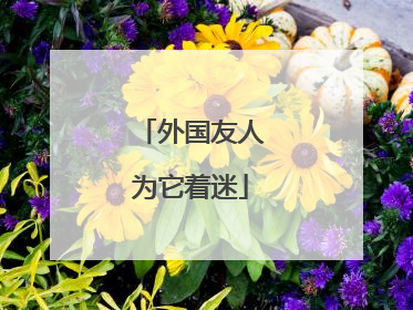 外国友人为它着迷