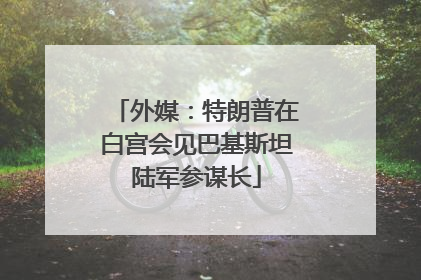 外媒：特朗普在白宫会见巴基斯坦陆军参谋长