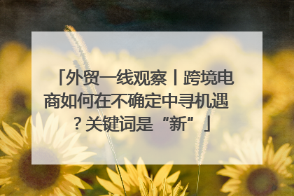 外贸一线观察丨跨境电商如何在不确定中寻机遇？关键词是“新”