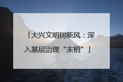 大兴文明树新风：深入基层治理“末梢”