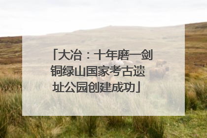 大冶：十年磨一剑 铜绿山国家考古遗址公园创建成功