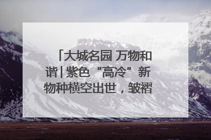 大城名园 万物和谐│紫色“高冷”新物种横空出世，皱褶叶片暗藏进化密码