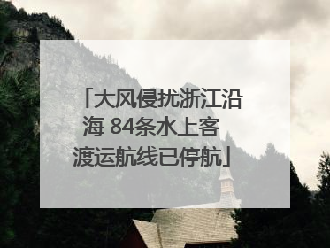 大风侵扰浙江沿海 84条水上客渡运航线已停航
