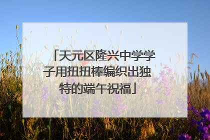 天元区隆兴中学学子用扭扭棒编织出独特的端午祝福
