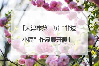 天津市第三届“非遗小匠”作品展开展