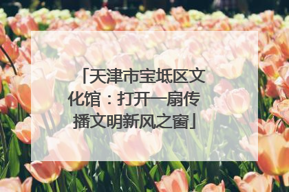 天津市宝坻区文化馆：打开一扇传播文明新风之窗