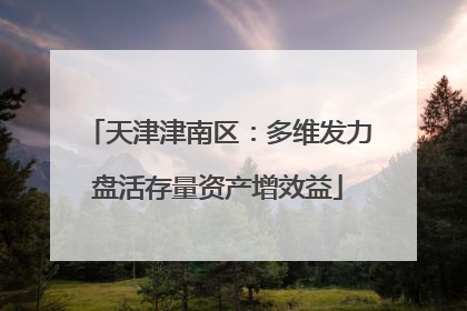天津津南区：多维发力盘活存量资产增效益