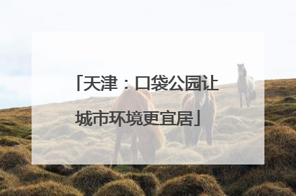 天津：口袋公园让城市环境更宜居