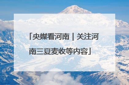 央媒看河南｜关注河南三夏麦收等内容