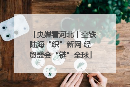 央媒看河北丨空铁陆海“织”新网 经贸盛会“链”全球
