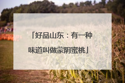 好品山东：有一种味道叫做蒙阴蜜桃
