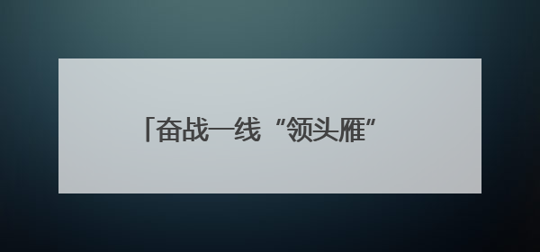 奋战一线“领头雁” 躬身实干“老黄牛”