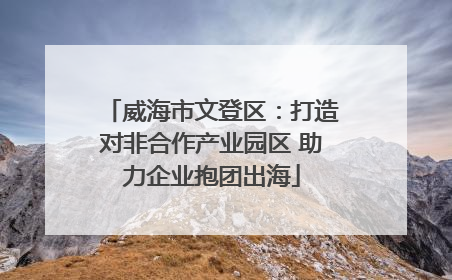 威海市文登区：打造对非合作产业园区 助力企业抱团出海