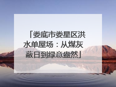 娄底市娄星区洪水单屋场：从煤灰蔽日到绿意盎然