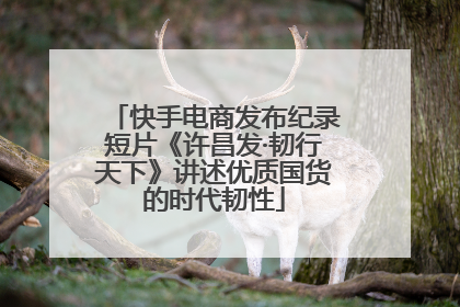 快手电商发布纪录短片《许昌发·韧行天下》讲述优质国货的时代韧性