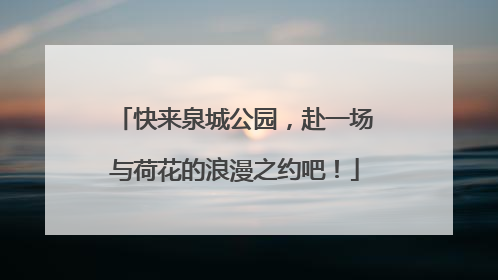 快来泉城公园，赴一场与荷花的浪漫之约吧！