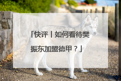 快评丨如何看待樊振东加盟德甲？