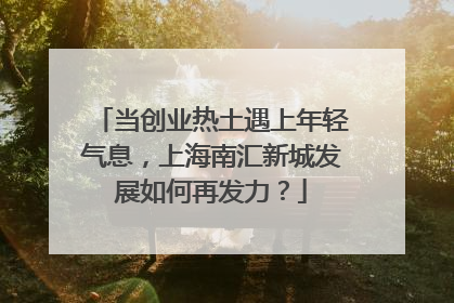 当创业热土遇上年轻气息，上海南汇新城发展如何再发力？
