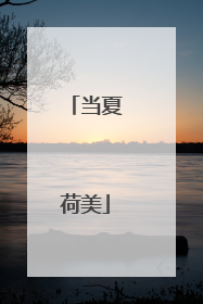 当夏荷美