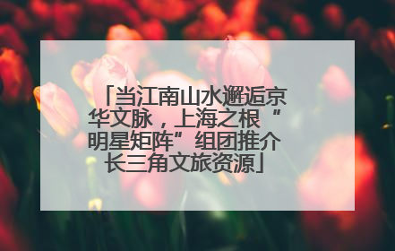 当江南山水邂逅京华文脉，上海之根“明星矩阵”组团推介长三角文旅资源