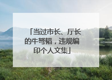 当过市长、厅长的牛弩韬，违规编印个人文集