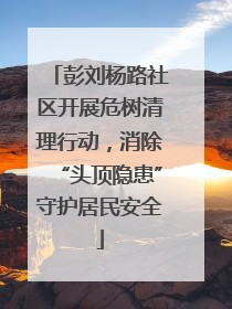 彭刘杨路社区开展危树清理行动，消除“头顶隐患”守护居民安全