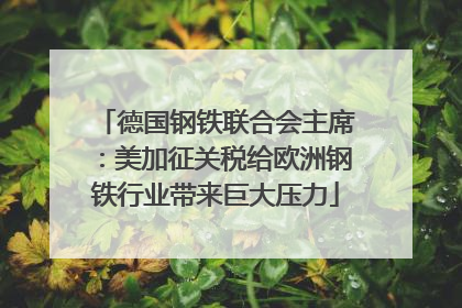 德国钢铁联合会主席：美加征关税给欧洲钢铁行业带来巨大压力