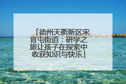 德州天衢新区宋官屯街道：研学之旅让孩子在探索中收获知识与快乐